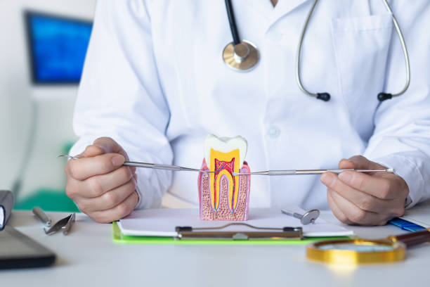 Best Root Canal Emergency Dentist  in Alto, GA